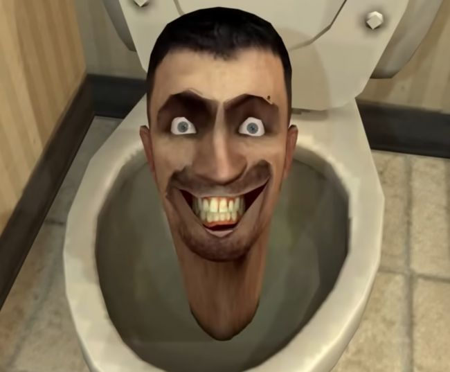 Cambridge Dictionary utökades med "delulu", "broligarchy" och "skibidi"