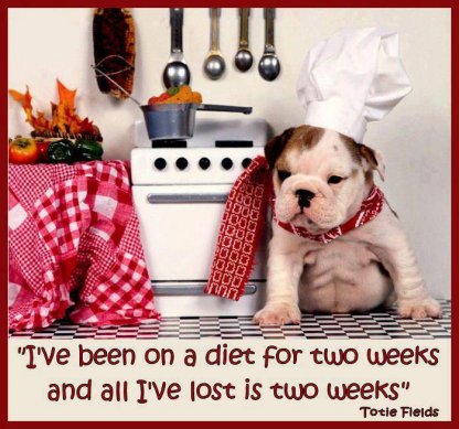 Damn these diets!!!!!!