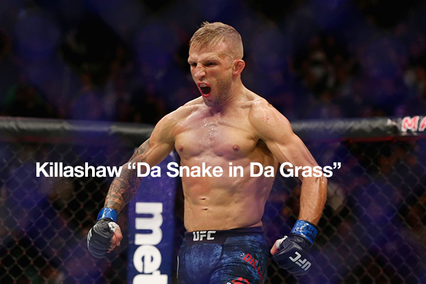 UFC Fight Night: Cejudo vs Dillashaw