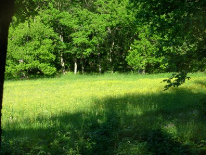 Äntligen ledig!!!!!