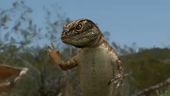 Deadly Creatures - Lizard Trailer